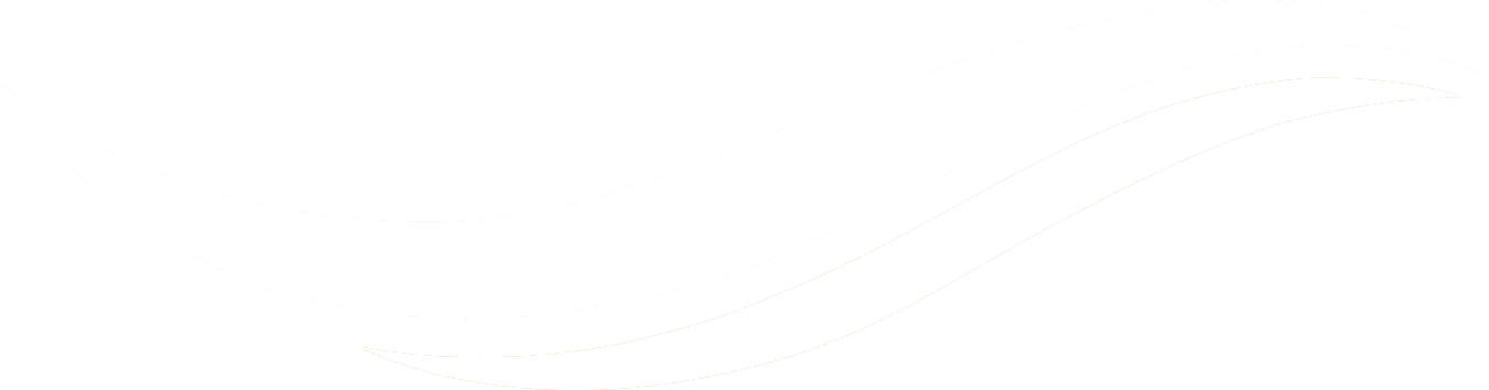 white wave svg icon